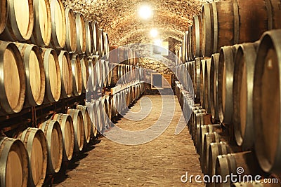 Wine cellar interior with large barrels Stock Photo