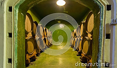 Wine cellar where the wine infuses adn matures Stock Photo