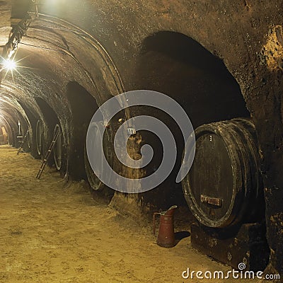 wine cellar, Winery of Oldrich Splichal and Jitka Splichalova, N Stock Photo