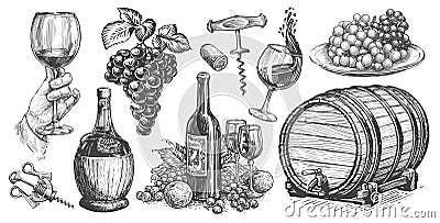 Wine concept. Viticulture set. Collection of hand drawn sketches for restaurant menu. Vintage illustration Cartoon Illustration