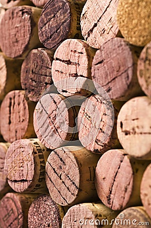 Wine Corks Stock Photo