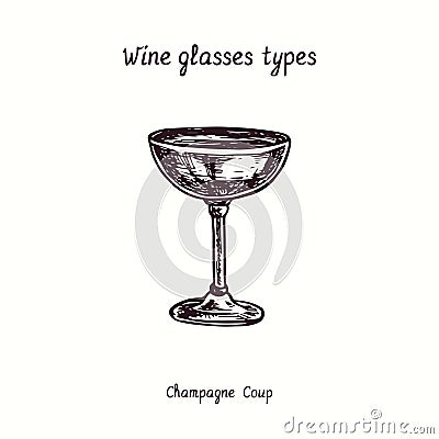 Wine glasses types collection, Champagne Coup. Ink black and white doodle drawing Vector Illustration