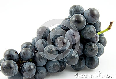 Wine Grapes Stock Photo