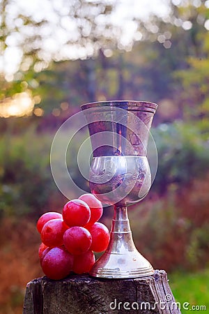 wine grapes glass of Jewish holidays Stock Photo