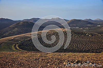 The wine-growing area of La Geria, Lanzarote. In the background the volcanos of the Timanfaya National Park. Canary Islands. Spain Stock Photo