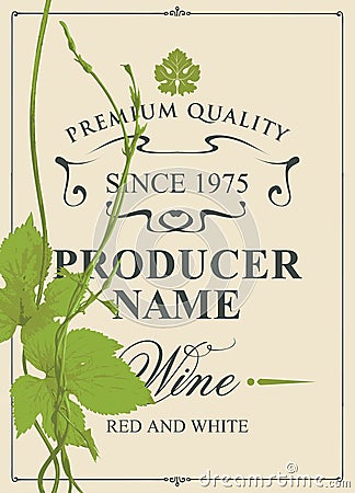 Wine label with green vine and vine leaves Vector Illustration