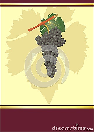 Wine labell Vector Illustration