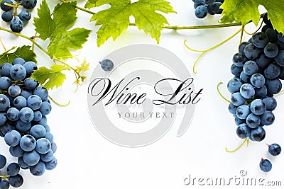 Wine list background; sweet black grapes and red wine bottle Stock Photo