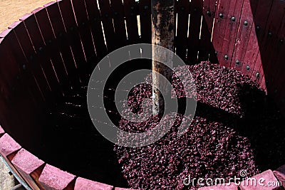 Wine press with red grape pomace Stock Photo