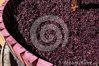 Wine press with red grape pomace Stock Photo