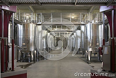 Wine Production - Colchagua Valley - Chile Editorial Stock Photo