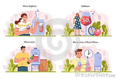 Wine production concept set. Grape wine in a bottle or glass. Alcohol drink Vector Illustration