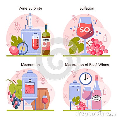 Wine production concept set. Grape wine in a bottle or glass. Alcohol drink Vector Illustration