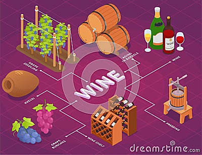 Wine Production Flowchart Vector Illustration