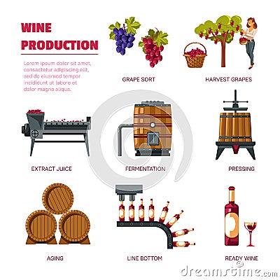 Wine production grape harvest extract juice and fermentation Vector Illustration