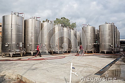 Wine Production Editorial Stock Photo