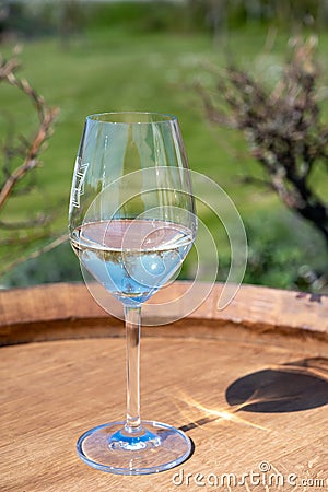 Wine production in Netherlands, white wine tasting glass close up Stock Photo