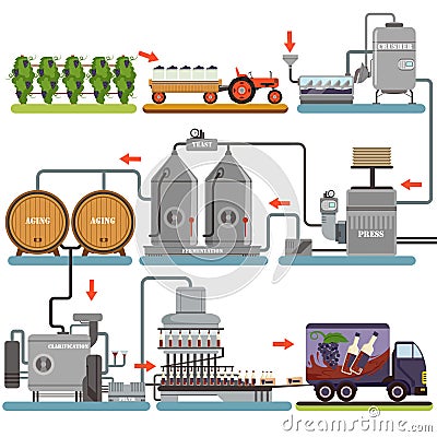 Wine production process, production beverage from grape flat vector Illustrations Vector Illustration