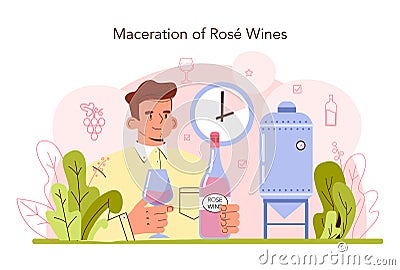 Wine production. Red and rose wine maceration. Alcohol drink characteristics Vector Illustration