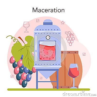 Wine production. Red and rose wine maceration. Alcohol drink characteristics Vector Illustration