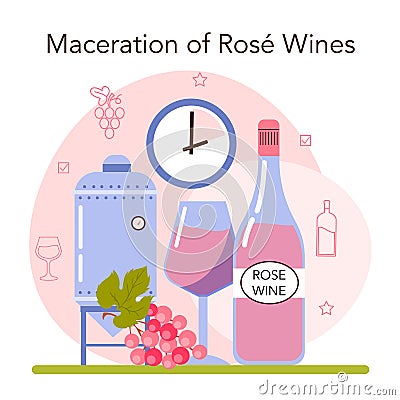 Wine production. Red and rose wine maceration. Alcohol drink characteristics Vector Illustration