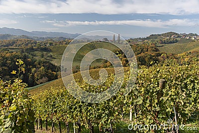 Wine Road, SveÄina, Slovenia Stock Photo