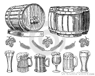 Wine or rum, beer classical wooden barrels for rural landscape. Barley and wheat, malt and hops. engraved in ink hand Vector Illustration