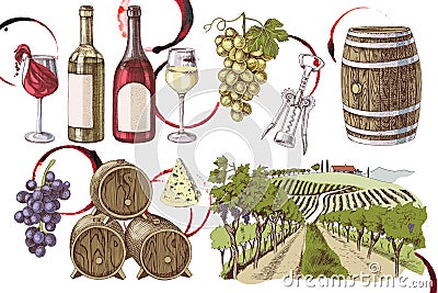 Hand drawn wine set sketches - wine and winemaking Vector Illustration