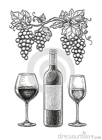 Wine still life Vector Illustration