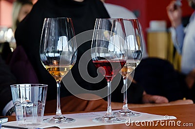 Wine tasting in Langhe italy Stock Photo