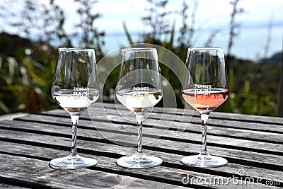 Wine tasting in New Zealand Editorial Stock Photo