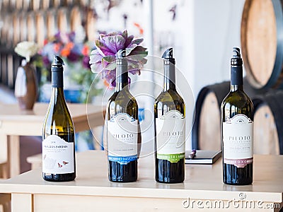 Wine tasting at Quita do Piloto in Setubal wine region, Portugal Editorial Stock Photo