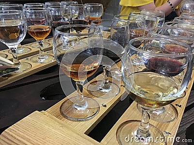 Wine tasting. Variety of wines. Wine glasses with alcoholic beverages Stock Photo