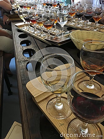 Wine tasting. Variety of wines. Wine glasses with alcoholic beverages. Stock Photo