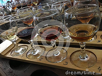 Wine tasting. Variety of wines. Wine glasses with alcoholic beverages. Stock Photo