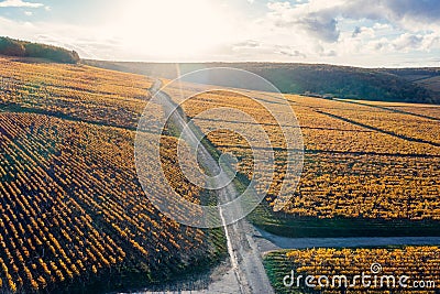 Wine trail, country road and Chablis vineyards. Burgundy, France Stock Photo