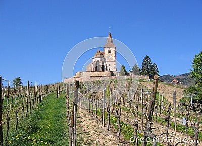 Wine trail french vineyard old church alsace france Stock Photo