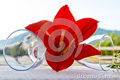 Wineglasses decoration Stock Photo