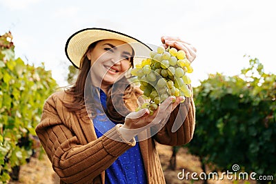 winemaker smilling adult woman with hat holding a bunch of white grape Stock Photo