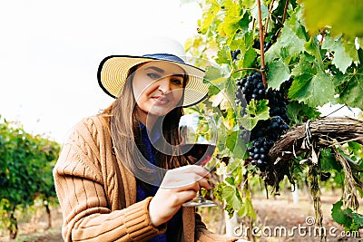 winemaker woman has in her hand a glass of red wine, taste the new wine. Stock Photo