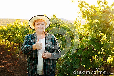 winemaker woman with hat showing thumb up and looking at camera Stock Photo
