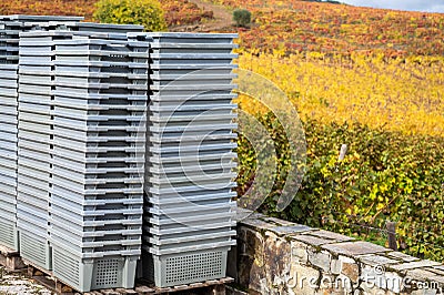 Winemaking in oldest wine region in world Douro valley in Portugal, plastic boxes for harvesting of wine grapes, production of red Stock Photo