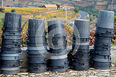 Winemaking in oldest wine region in world Douro valley in Portugal, plastic buckets for harvesting of wine grapes, production of Stock Photo