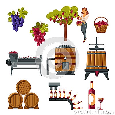 Winemaking process illustrated from grapes growing till wine bottling Vector Illustration