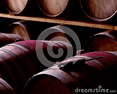 Winery Stock Photo