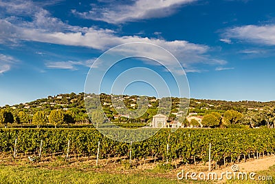 Winery Building and Vineyard-Provence,France Stock Photo