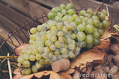 Winery, grape harvest, farmers food market Stock Photo