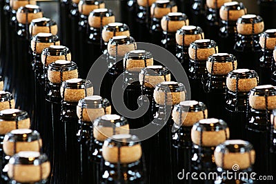 Winery industry, bottles and caps Stock Photo