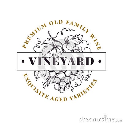 Winery label, grape wine logo. Organic antique ornament, engraving emblem, luxury brand stamp. Hand drawn berry with Vector Illustration