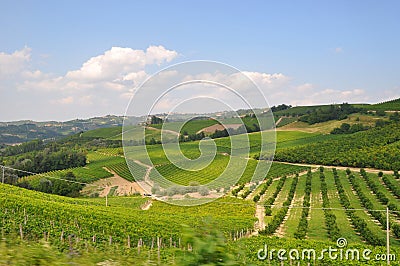 piemonte vineyards Barolo Langhe Alba italy Stock Photo